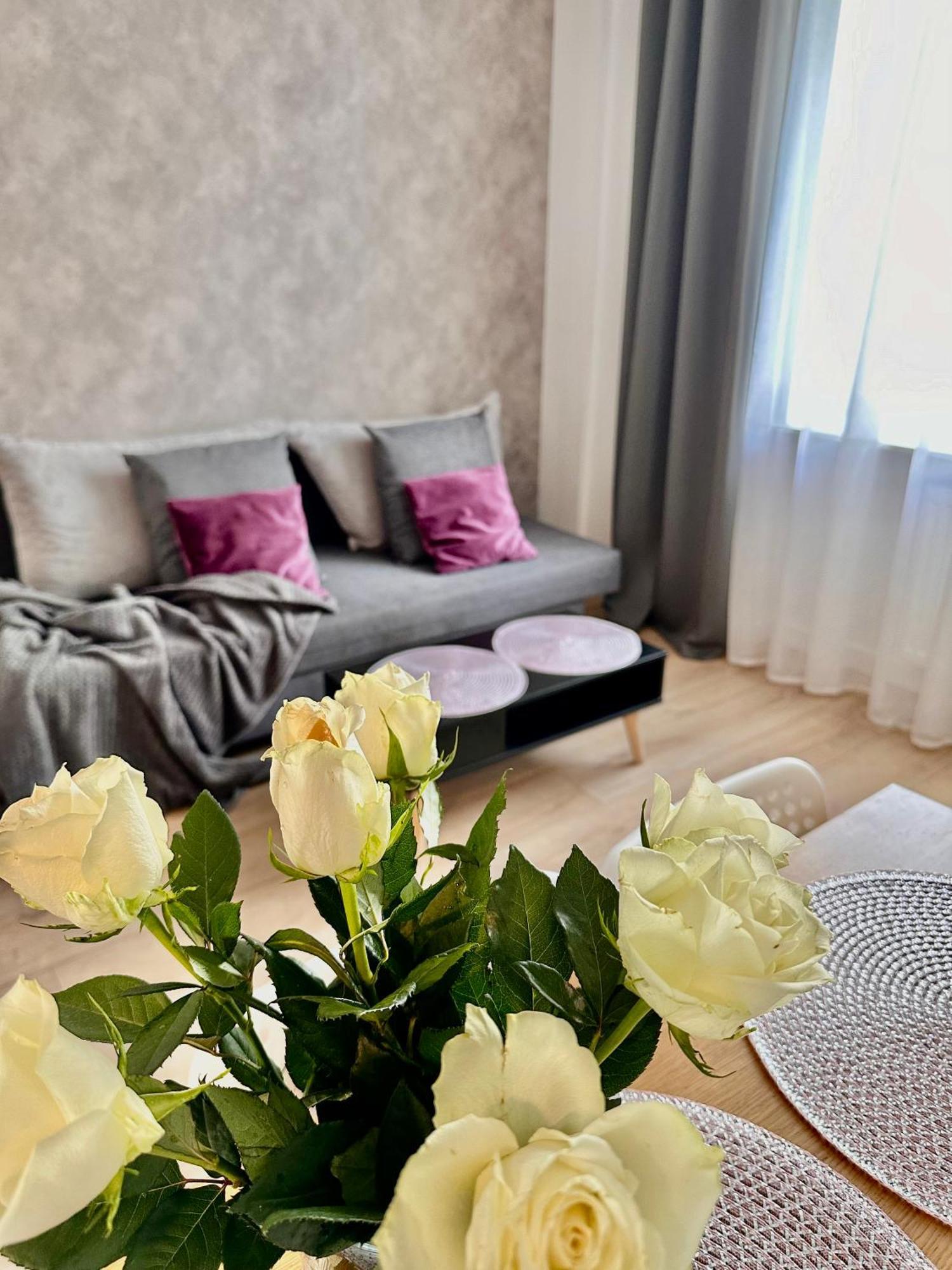 Place 2 Apartament